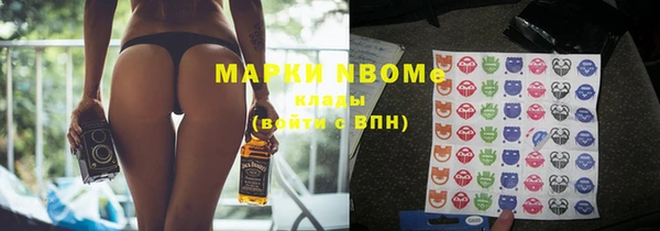 крисы Бородино