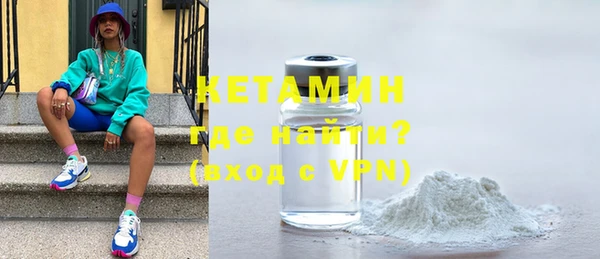 крисы Бородино