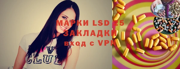 крисы Бородино