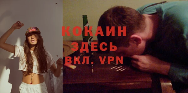 крисы Бородино
