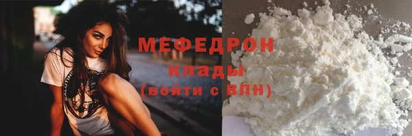 крисы Бородино