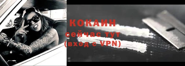 крисы Бородино