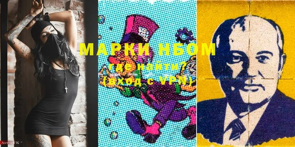 крисы Бородино