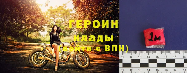 крисы Бородино