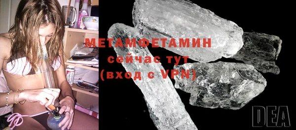 крисы Бородино