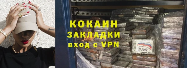 крисы Бородино