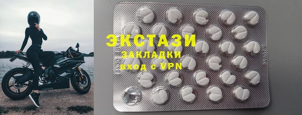 крисы Бородино