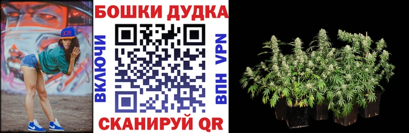 цена наркотик  Хабаровск  Бошки Шишки конопля 